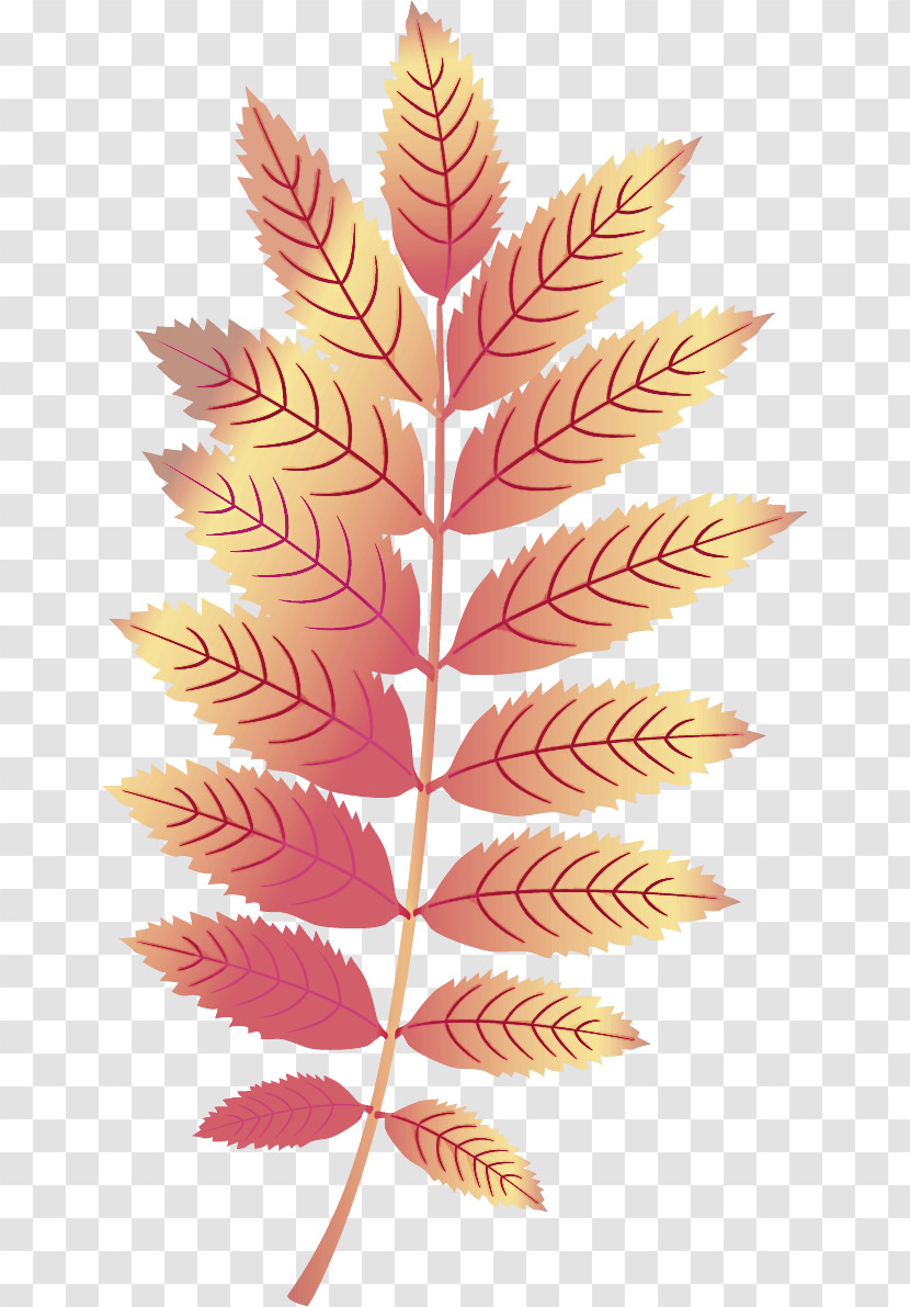 Maple Leaf Transparent PNG