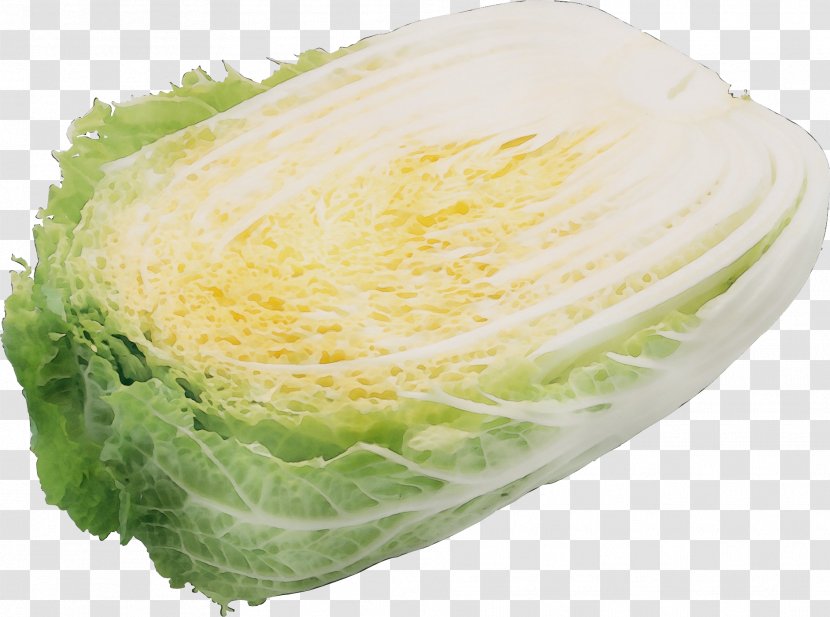 Cabbage Food Iceburg Lettuce Savoy - Wet Ink - Leaf Vegetable Romaine Transparent PNG