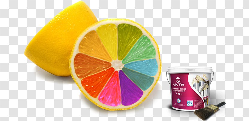 Image Food Coloring International Colour Day Art - Drawing Transparent PNG