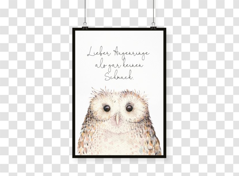 Owl Stock Photography Watercolor Painting Transparent PNG