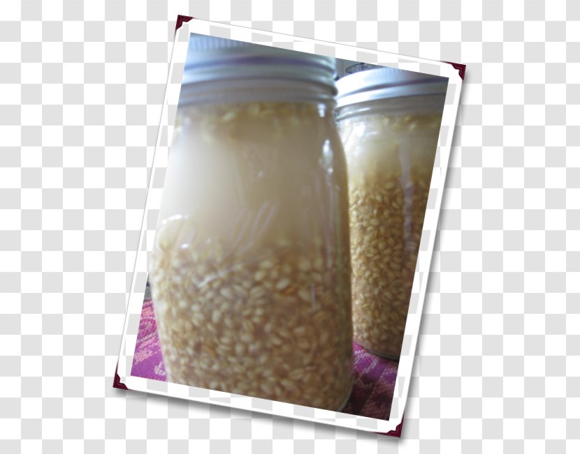 Rejuvelac Raw Foodism Health Food - Sprouted Wheat Berries Transparent PNG