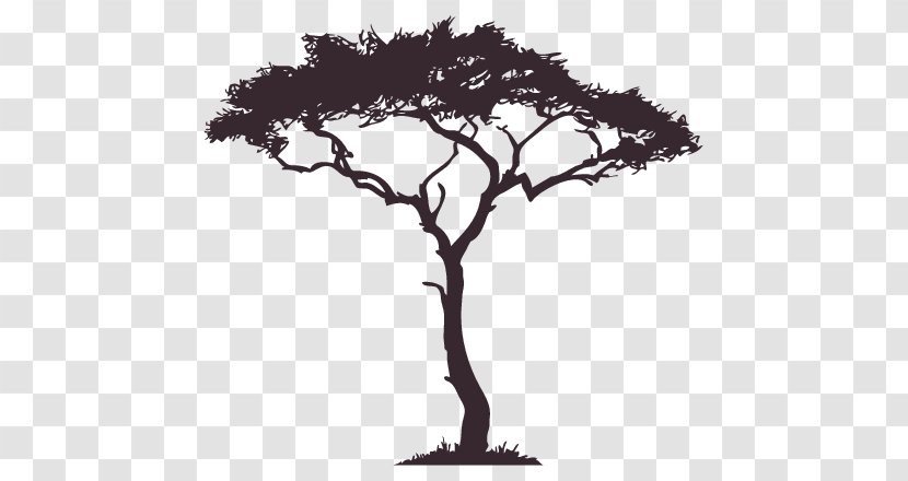Silhouette African Trees - Pine Family Transparent PNG