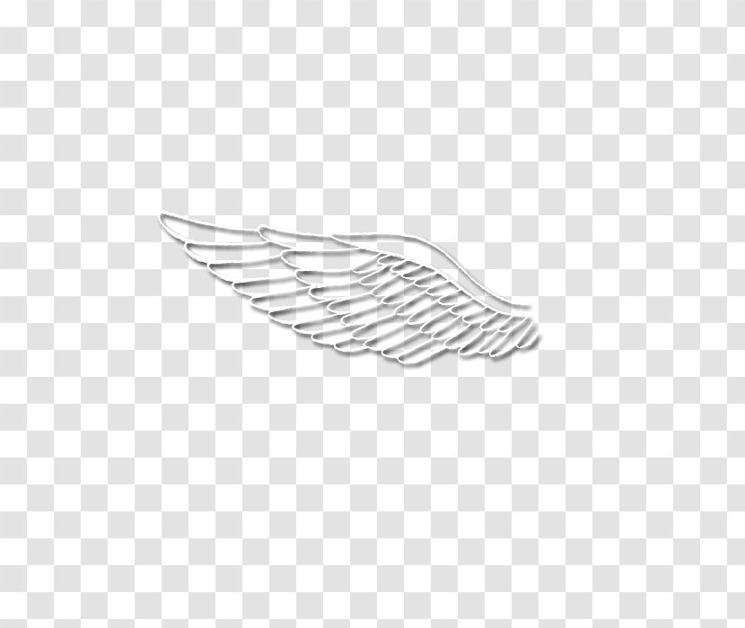 Feather White Line Wing Angle - Bird Transparent PNG