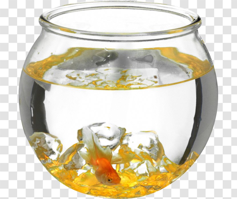 Aquarium Goldfish Ornamental Fish Transparent PNG