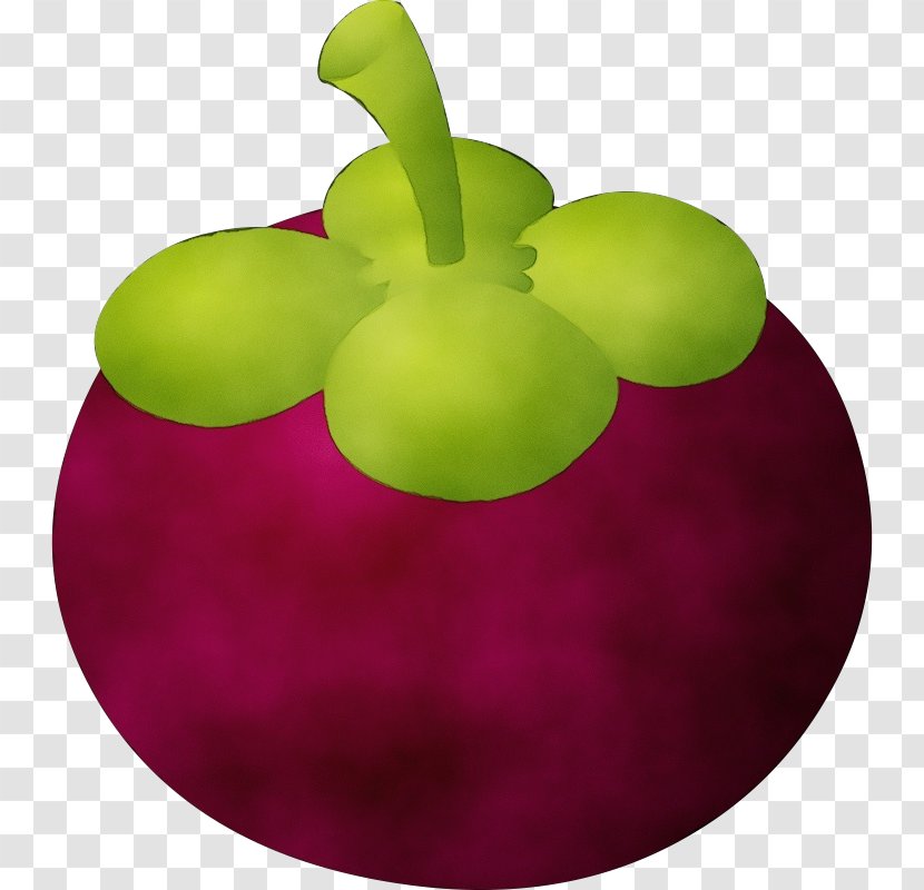 Watercolor Tropical - Magenta - Grape Vitis Transparent PNG