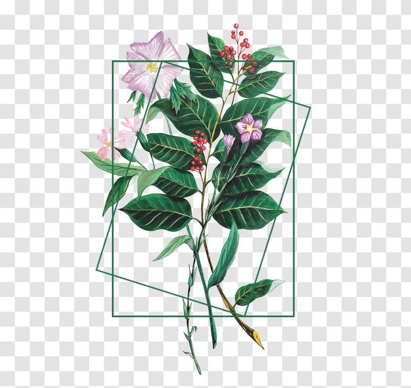 Flower Plant Illustration - Raster Graphics - Fashion Bouquet Transparent PNG