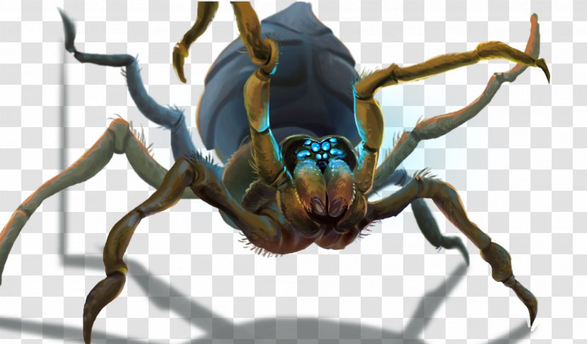 RuneScape Insect Game Arthropod Animal - Invertebrate - Spider Transparent PNG