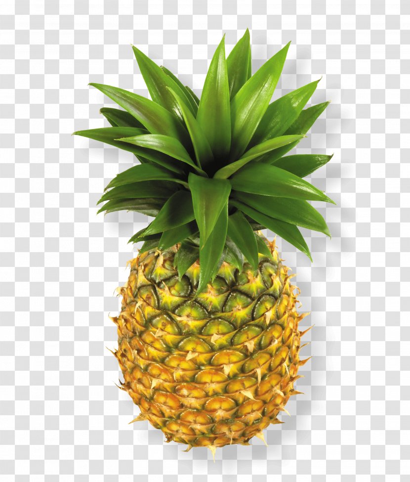 Pineapple - Yellow - Food Transparent PNG