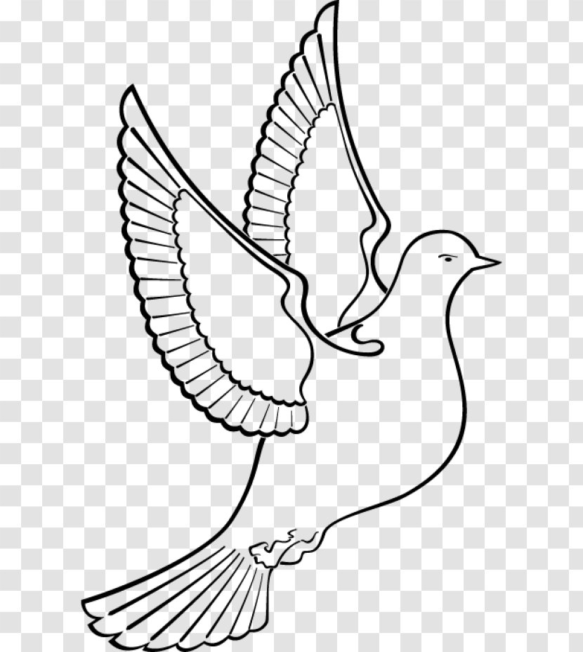 Columbidae Drawing Clip Art - Dove Silhouette Transparent PNG