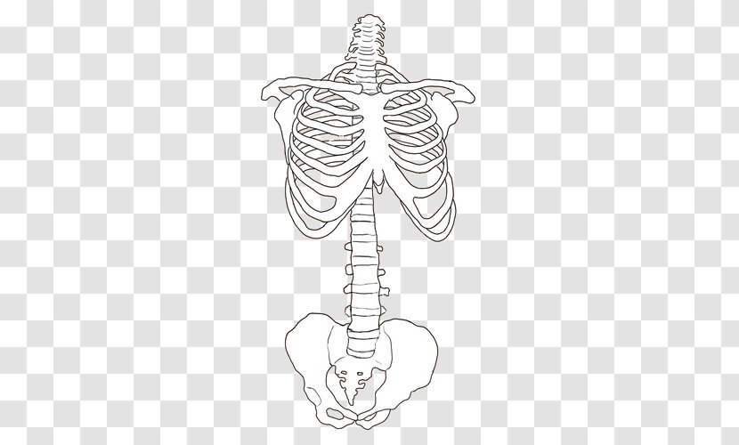 Poetry Human Skeleton Drawing Bone - Heart - Diary Dark Transparent PNG