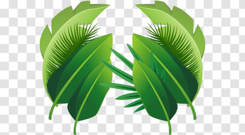 Palm Tree Leaf - Plant Stem Banana Transparent PNG