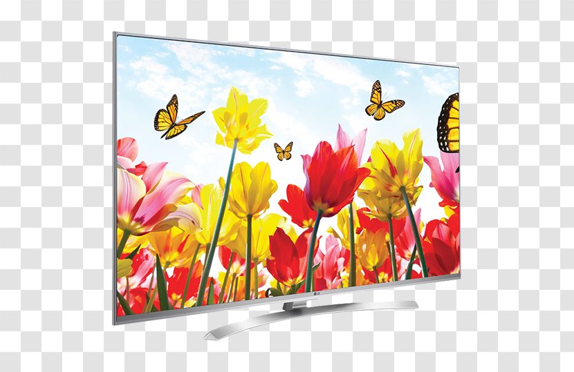4K Resolution Smart TV LED-backlit LCD Ultra-high-definition Television - Advertising - Lg Transparent PNG