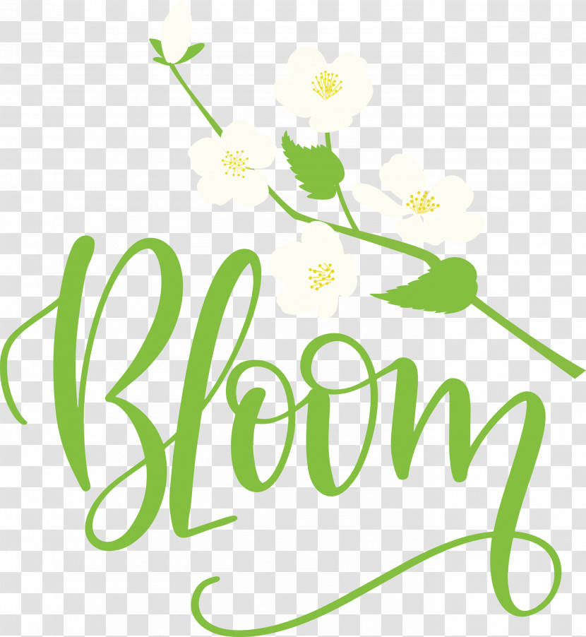 Bloom Spring Transparent PNG