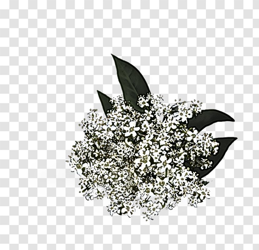 Leaf Black-and-white Fashion Accessory Plant Brooch - Flower - Diamond Transparent PNG