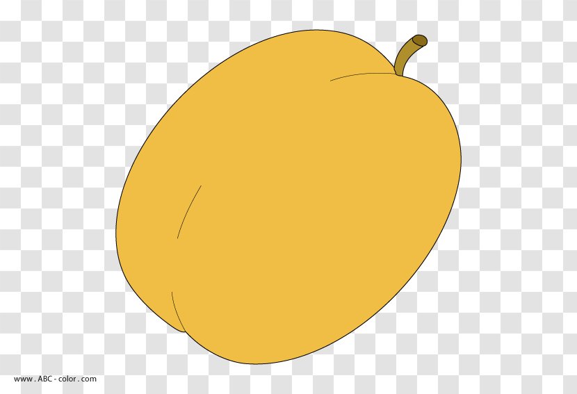 Apricot Drawing - Food Transparent PNG