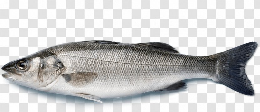 European Bass Japanese Sea Striped Fish - Food Transparent PNG