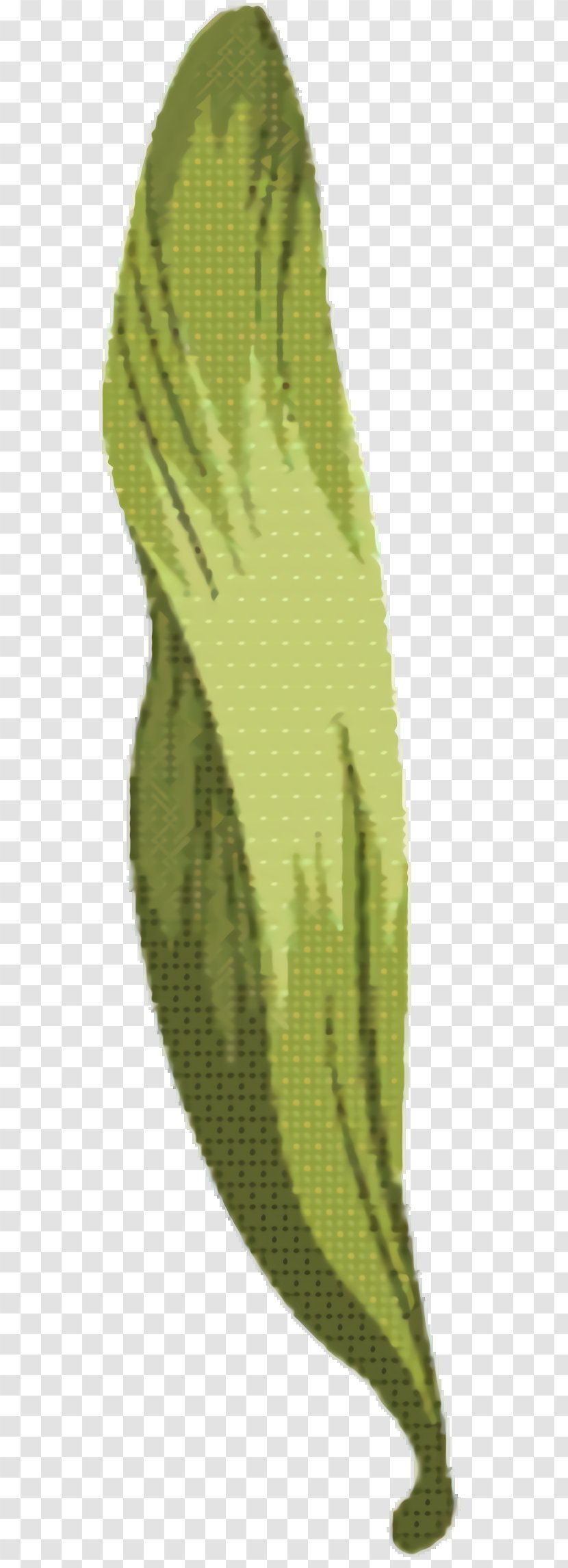 Green Leaf Background - Trousers Glove Transparent PNG