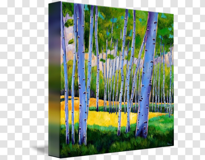 Aspen Tree Canvas Print Art - Painting Transparent PNG