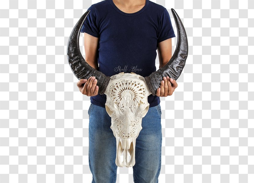 Horn Skull Cattle Eagle Neck Transparent PNG