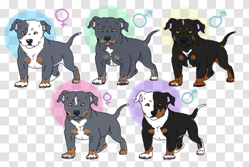 Manchester Terrier Puppy Dog Breed Razas Nativas Vulnerables - Group - American Bully Transparent PNG