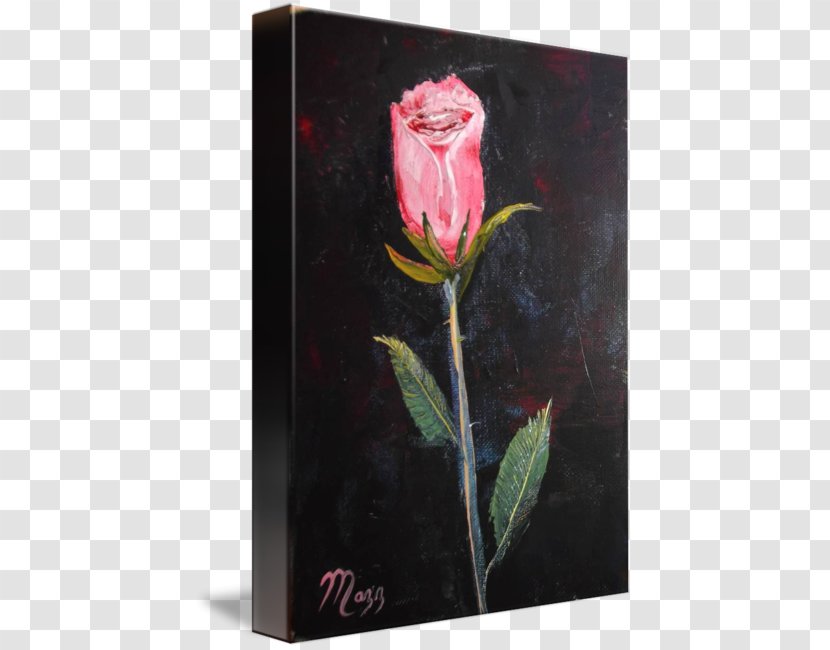 Garden Roses Painting Art Still Life - Pink - Watercolor Stem Transparent PNG