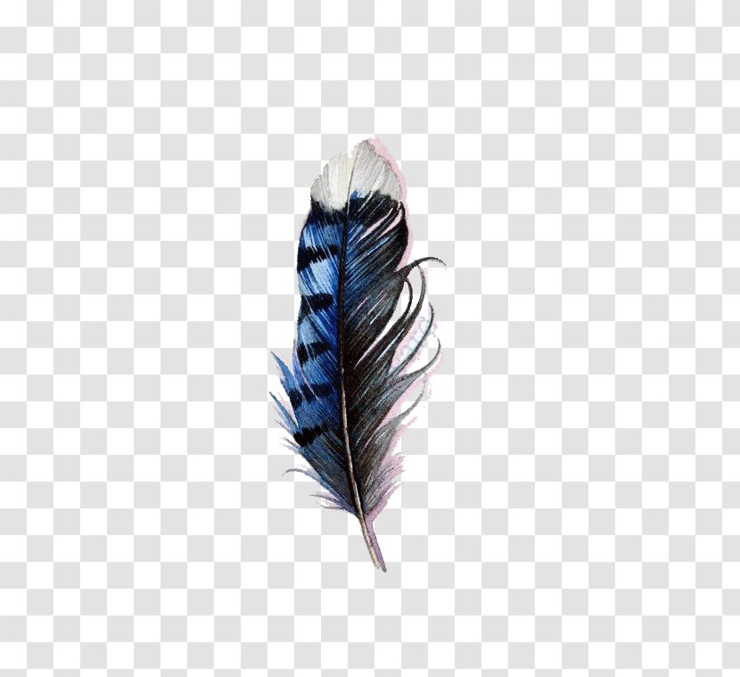 Bird Tattoo Feather Blue Jay Watercolor Painting - Artist - Feathers Transparent PNG
