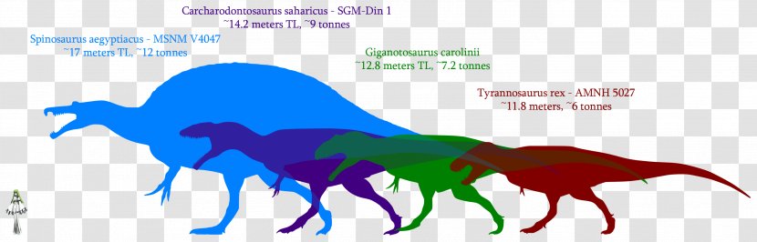 Giganotosaurus Dinosaur Size Carcharodontosaurus Mapusaurus Tyrannosaurus - Horse Like Mammal Transparent PNG