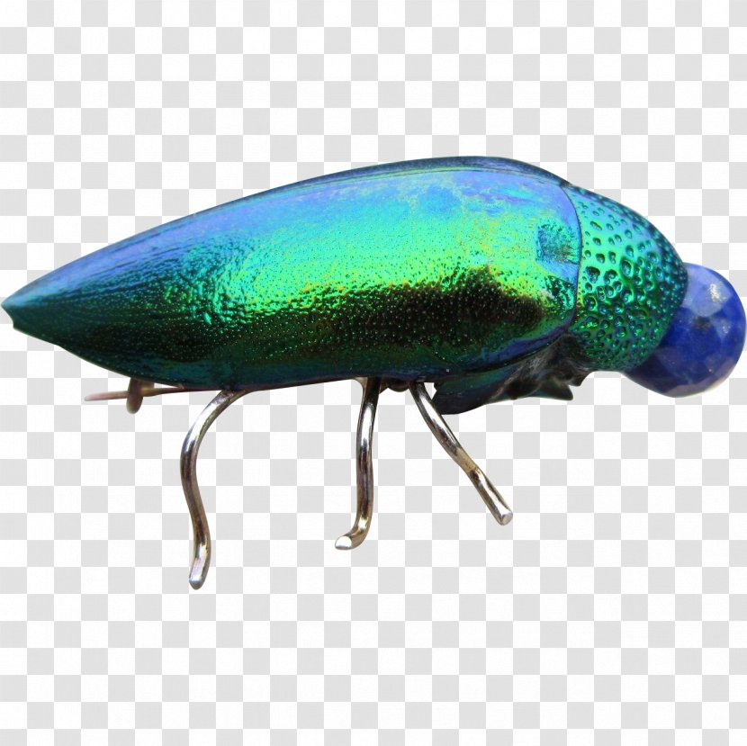 Beetle Fishing Bait Pest Transparent PNG