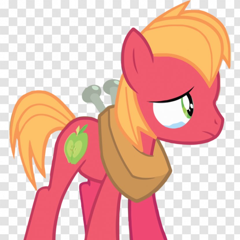 Pony Big McIntosh Applejack Fluttershy Apple Bloom - Frame - Arch Transparent PNG