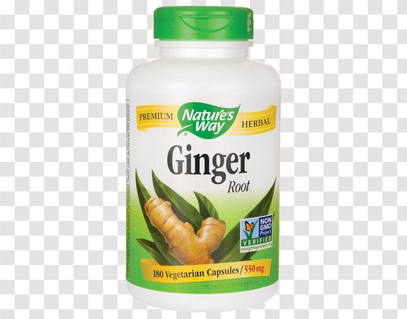Ginger Dietary Supplement Food Herb Root - Health Transparent PNG