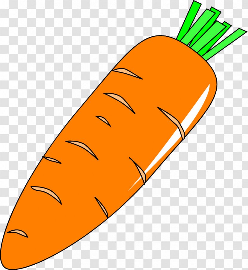 Carrot Daikon Vegetable - Radish - Hand-painted Transparent PNG
