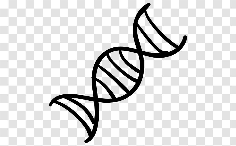 DNA Nucleic Acid Double Helix Genetics - Monochrome Photography Transparent PNG