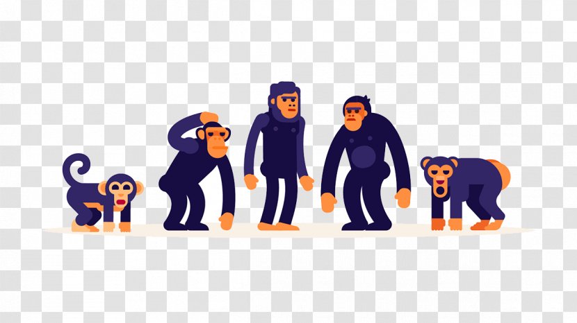 Ape Evolution Cartoon - Logo - Monkey Transparent PNG