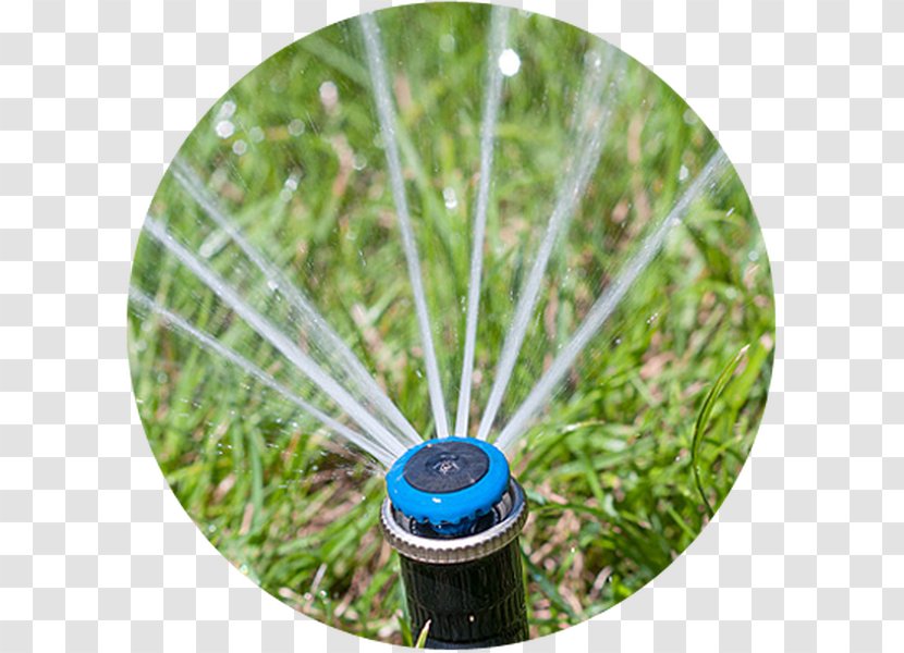 Irrigation Sprinkler Fire System Sistema De Riego Lawn - Photography - Water Transparent PNG
