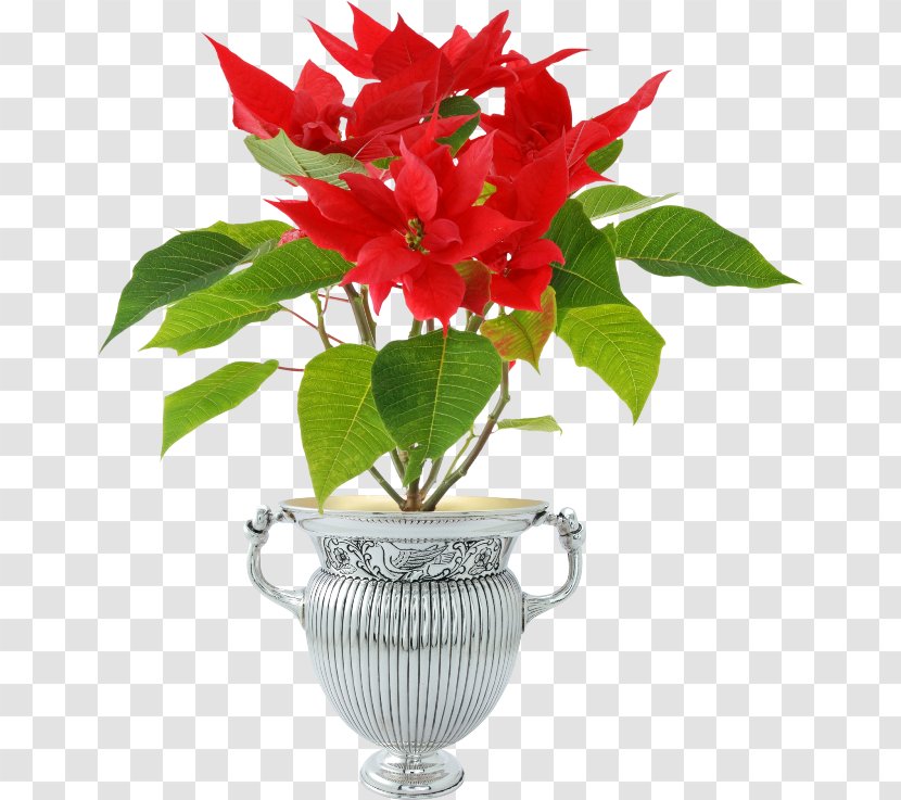 Flowerpot Christmas Floral Design - Party Transparent PNG