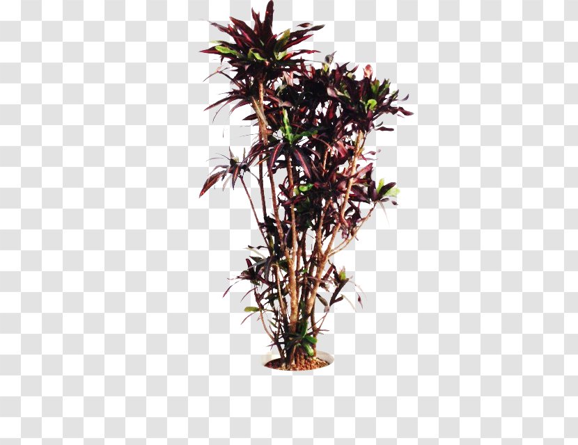 Flowerpot Houseplant Shrub Branching - Branch - Green Depotartificial Artificial Foliage And Transparent PNG