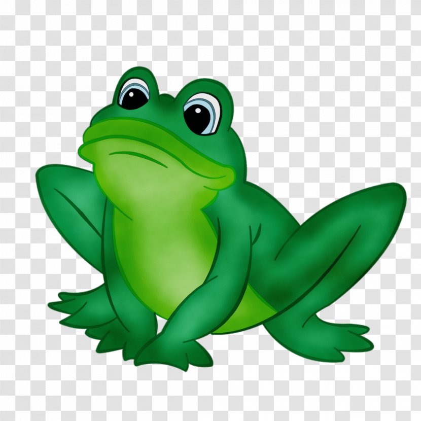 Green Frog True Hyla Tree - Agalychnis Shrub Transparent PNG