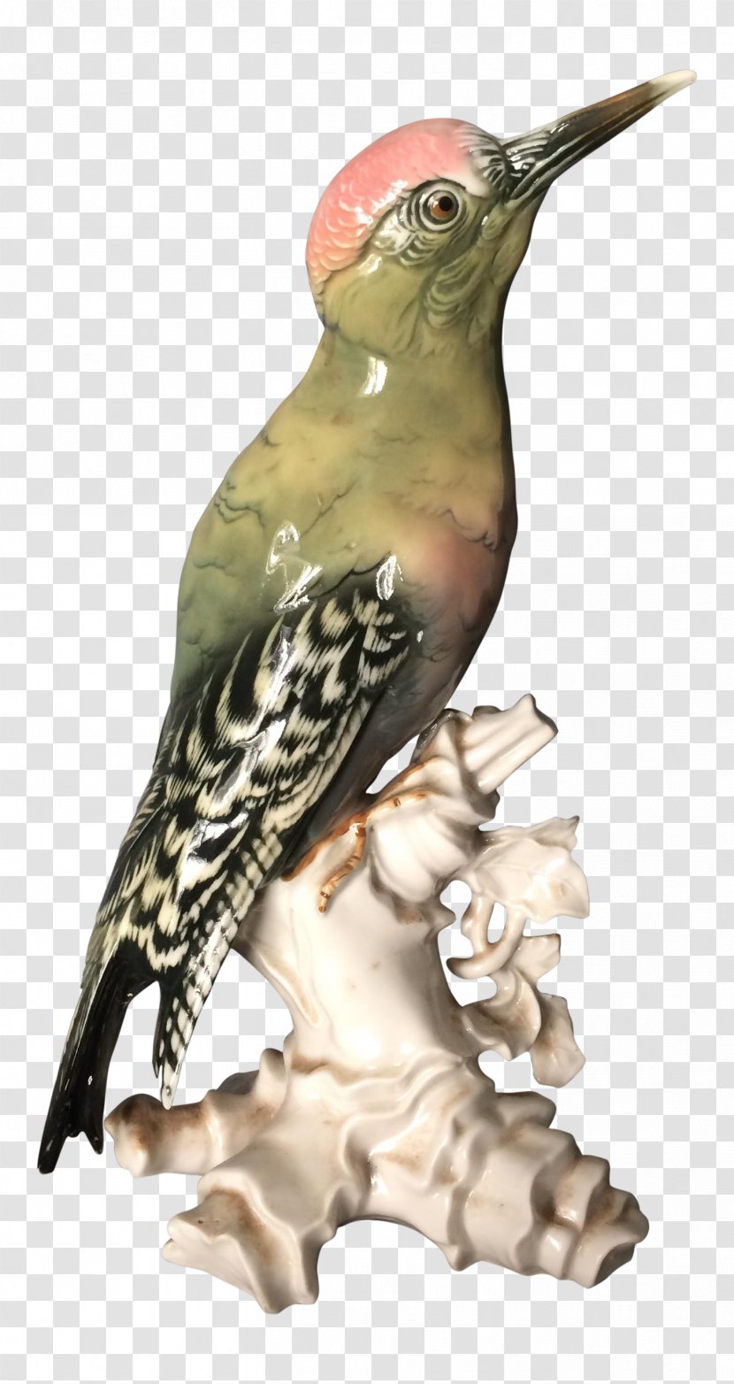 Woodpecker Hummingbird Porcelain Figurine - Feather - Zebra Bird Figurines Mexico Transparent PNG