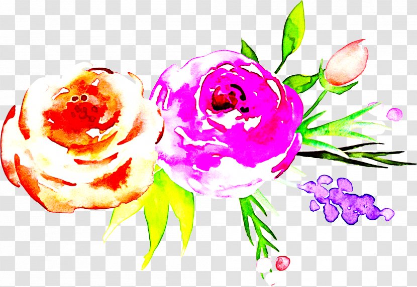 Rose - Flower - Cut Flowers Petal Transparent PNG