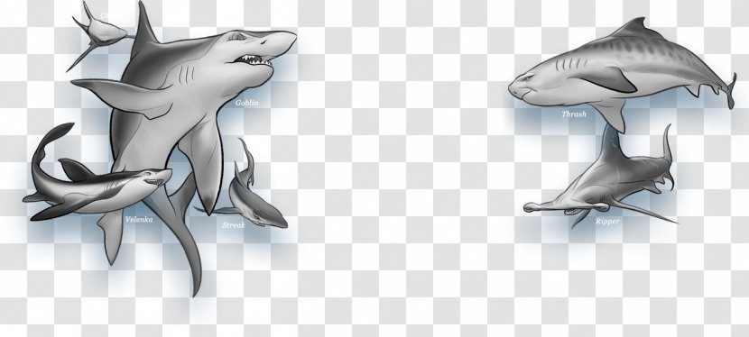 Shark Wars Whale Goblin - Marine Mammal Transparent PNG