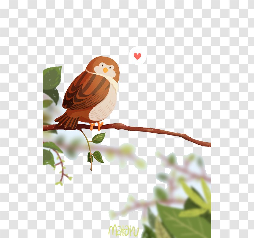 Cartoon Adobe Illustrator Illustration - Storytelling - Love Little Sparrow Transparent PNG