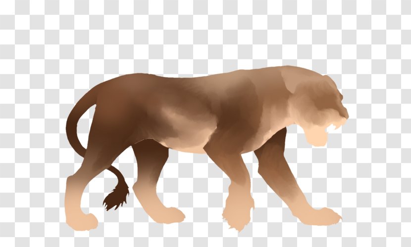Lion Dog Big Cat Fang - Wildlife - Pride Of Lions Transparent PNG