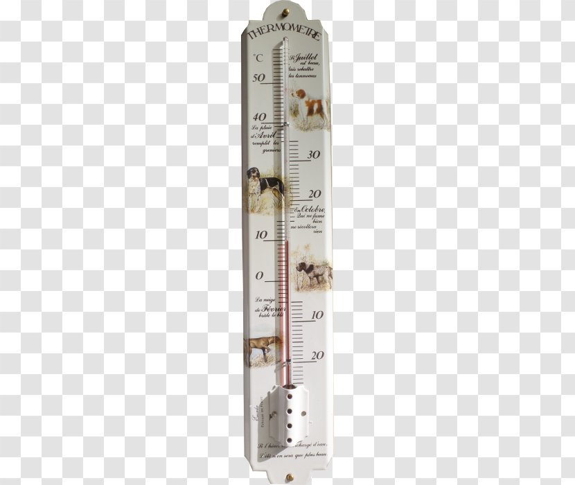 Thermometer Measuring Instrument Garden Stock Image Évreux - Thermometre Transparent PNG