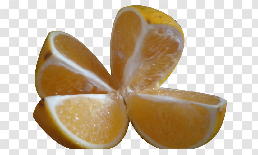 Orange Juice Lemon - Food - A Cut Image Material Transparent PNG