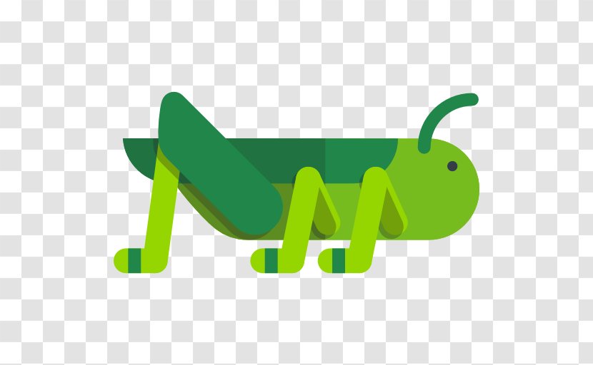 Grasshopper Icon - Symbol - Green Transparent PNG