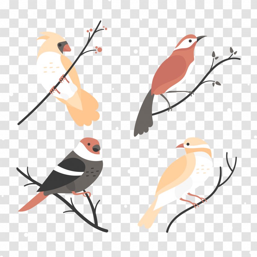 Bird Eurasian Magpie Vector Graphics Design - Pigeons And Doves - Baby Transparent PNG