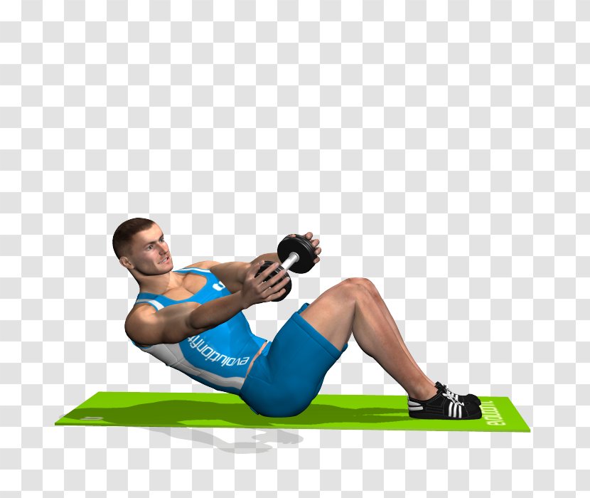 Physical Fitness Dumbbell Exercise Crunch Rectus Abdominis Muscle - Cartoon Transparent PNG