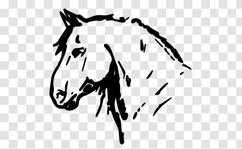 Horse Drawing Photography - Small To Medium Sized Cats Transparent PNG