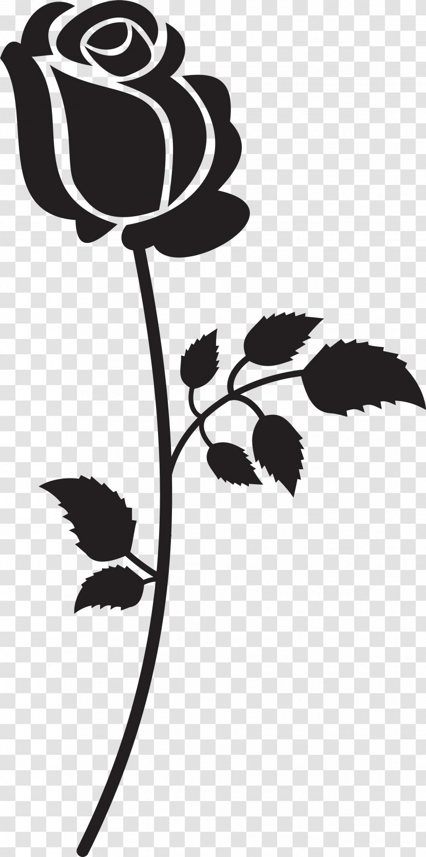 Leaf Black-and-white Flower Plant Stem - Stencil - Pedicel Transparent PNG