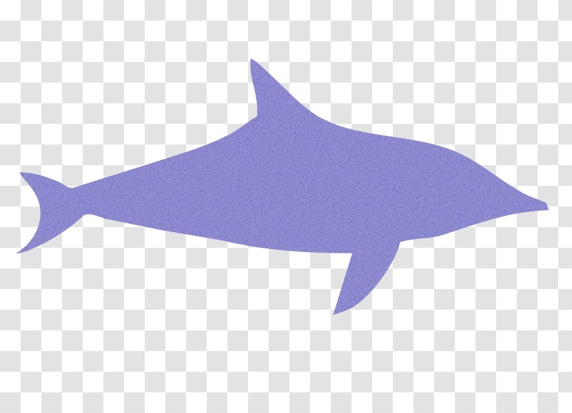 Common Bottlenose Dolphin Tucuxi Hippopotamus Shark Dog Transparent PNG